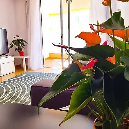 Apartamento Radazul Sea View Buitenkant foto